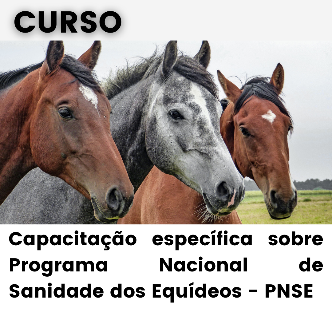Mais informações ead.pnse@agro.gov.br
