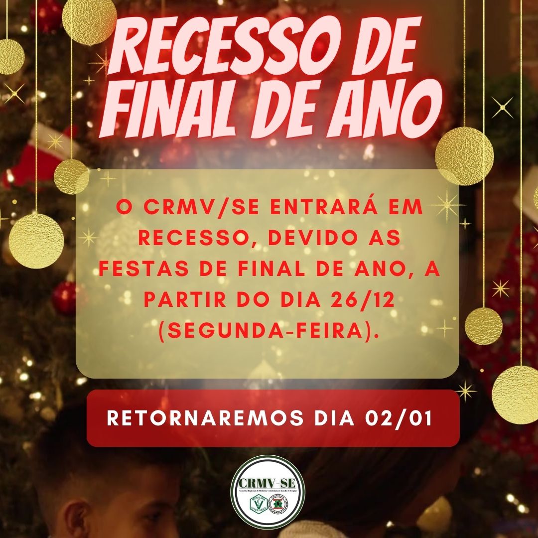 RECESSO DE FINAL DE ANO